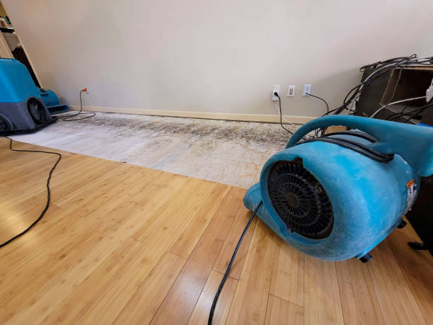 Professional Basement Flood Cleanup technician working in West Orange, TX